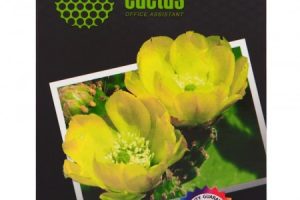 Cactus представляет набор фотобумаги различной плотности и фактуры